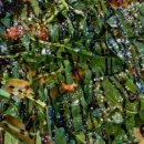 빈체로 전농점 이미지