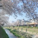 여주-0178 | 23. 4. 2 (당일) 문경 여행기록