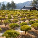 명산목장 이미지