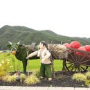 중부동공원 게이트볼장 | 산청 장승배기 생태공원-단계 한옥마을 탐방 26년 08월 09일 (일)