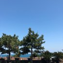복자하우스 | 2019 SPRING JEJU - 1day 0323