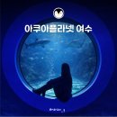 전남메디칼 | 전남 여수 실내 놀거리, 볼거리 가득한 여수아쿠아플라넷 할인 꿀팁 정리