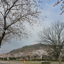 평거강변3 이미지