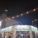 삼식당 | 대구 교동 맛집 용삼식당 방문후기 생삼겹살 + 멜젓 조합 미쳤다.