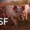 우보축산 이미지