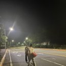 바다소풍