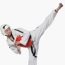 코리아 익스트림 태권도 이미지