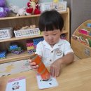 🦁🐰큰 동물과 작은 동물 분류하기🐔 이미지