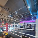 한국위너복싱 하남미사점 | 하남복싱 쾌적하게 운동하기 좋은 한국위너복싱 하남미사점