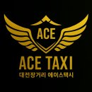 공항 동물병원 | 🚖 대전장거리 에이스택시 이용 꿀팁 | 공항·병원·여행 장거리 예약 안내 🌿