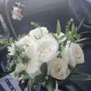 블루밍 플라워 앤 가든 이미지