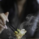 첨미중식순천