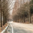 보성장식 이미지