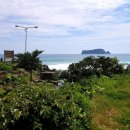 서호동-44 이미지