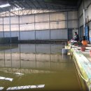 고령낚시 이미지