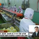 부귀농협김치 이미지