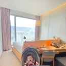 해오하우스 | [내돈내산] 울 아기 잉글레시나 일렉타 베이비하우스 일산점에서 82만원에 구매후기