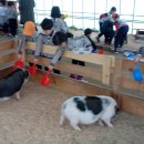 남산초교 병설유치원 이미지