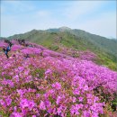 5월 정기산행 지리산 바래봉(1,165m) 전북 남원시 운봉읍 이미지