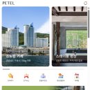 센트럴파크(이동식 2, 한옥) | 송도 센트럴파크 호텔 애견 동반 인천 펫캉스 페텔 예약