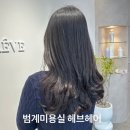 YH프라자 | 범계미용실 헤브헤어 범계점 박연화디자이너 재생클리닉 받은 후기