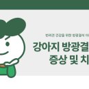 미유펫 동물병원 이미지