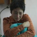 플러스파인
