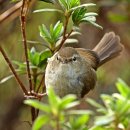 한라수목원 이미지