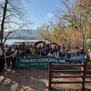 시나브로 이미지