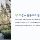 🌱 조경수 유통구조 완전정복