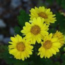 기억의 순간 이미지