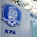 축구협회는 세금으로 운영이 되는가? 이미지