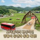 인형천국 | 증평벨포레 양떼목장, 양몰이 공연시간 및 방문 후기!