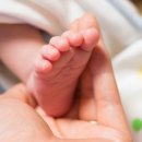 아이조아 이미지