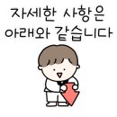경희대 석사 비룡 태권도 이미지