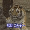 천·지·인의 기념비 | ADHD인의 첫 하프마라톤 벼락치기 도전기