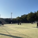 더 파인트리 이미지