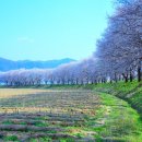 달맞이 펜션 이미지