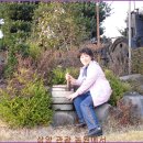 상양관광농원 이미지