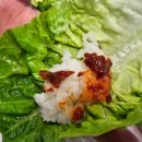 [상품후기/무농약채소]싱싱함이 배달되는 무농약채소 유러피언 쌈채소 천리팜
