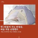 더 따숲 이미지