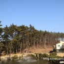 자드락민박 이미지