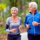 엠디디피티 이미지