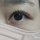 창원중앙동속눈썹 창원속눈썹펌 잘하는 모네스튜디오 프리미엄펌 후기 (소요시간 45분컷)