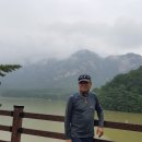 용준안전