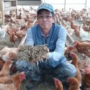 양동농장 이미지