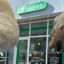 견공수라상 이미지