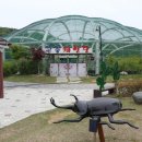 과일나라테마공원1 이미지