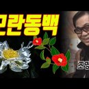 조영남 의 모란동백 이미지