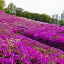 철쭉어린이공원 이미지